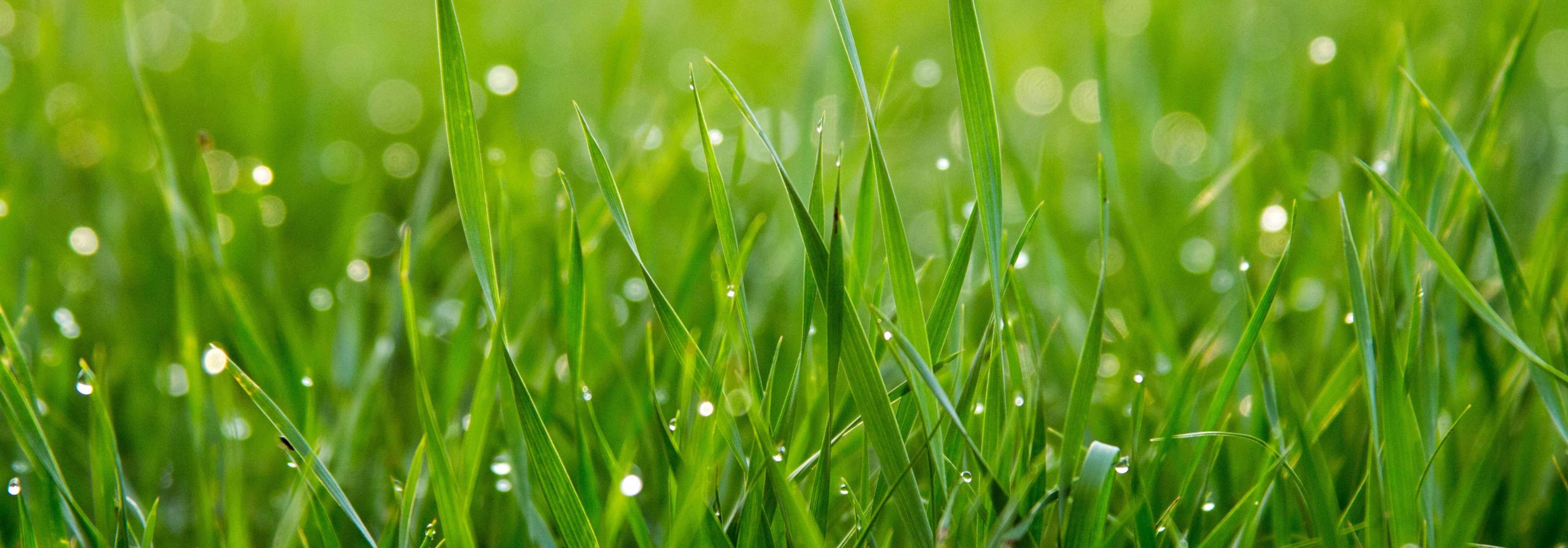 A multi faceted digital design agency based in Dorset delivering bespoke website design, digital advertising via Google AdWords and SEO Google Partner program.